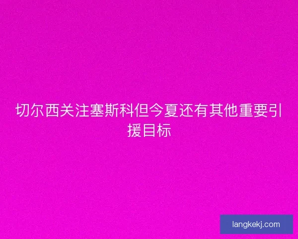切尔西关注塞斯科但今夏还有其他重要引援目标